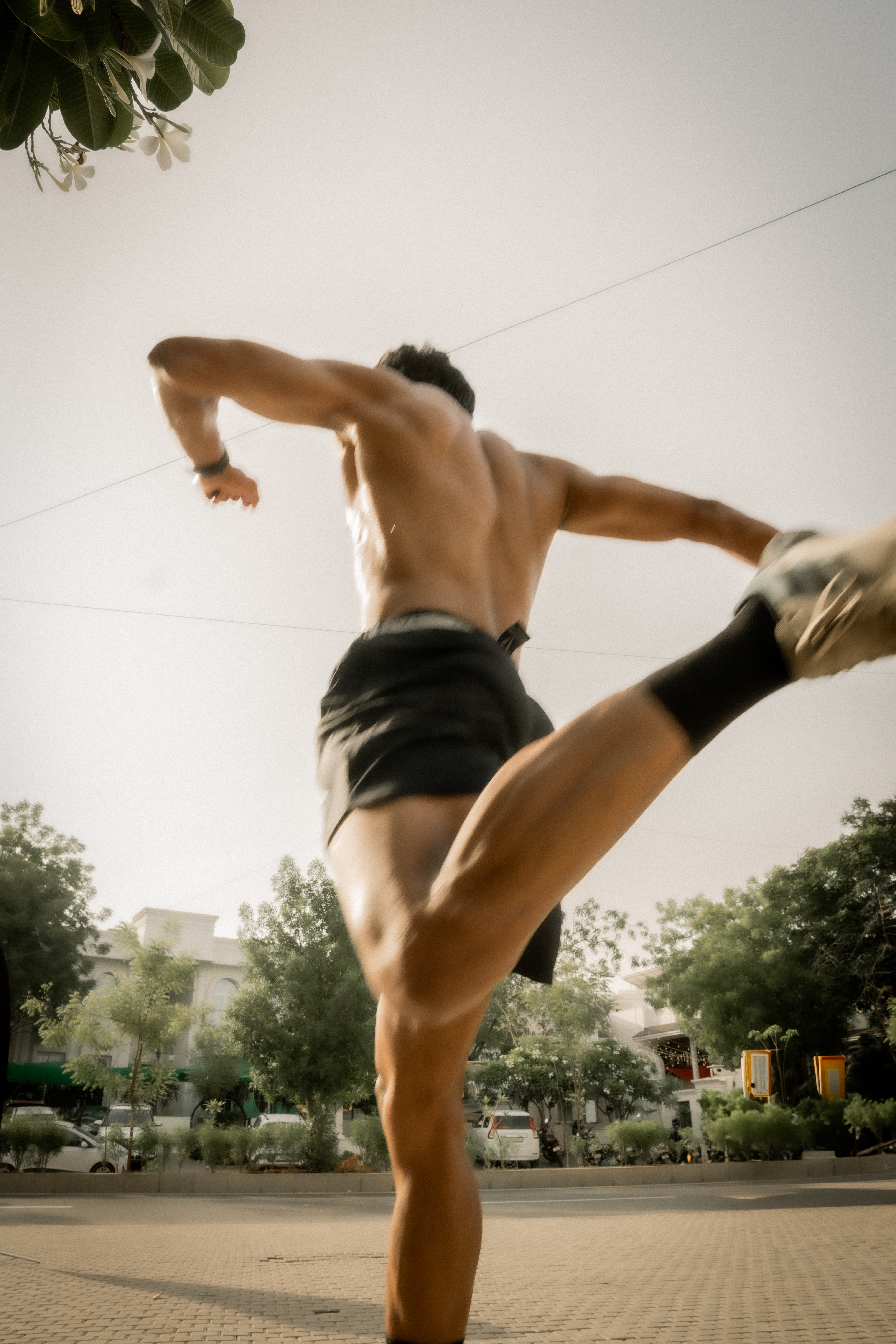 Selected Frame
